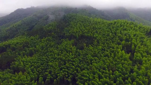 陌上·花溪堂，陌上花開笑顏傾城