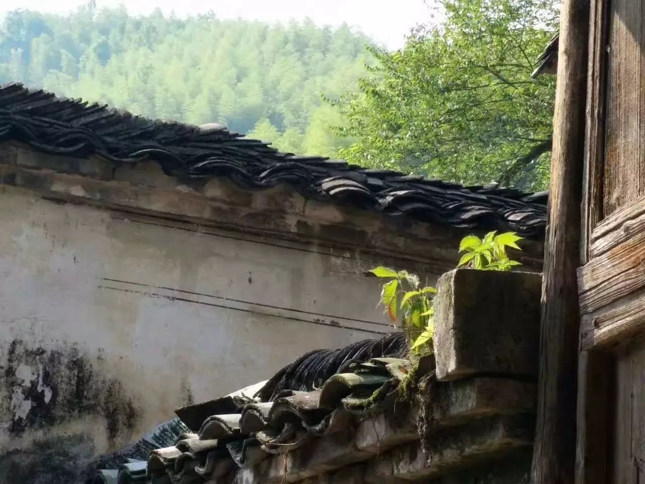 陌上·花溪堂，陌上花開笑顏傾城