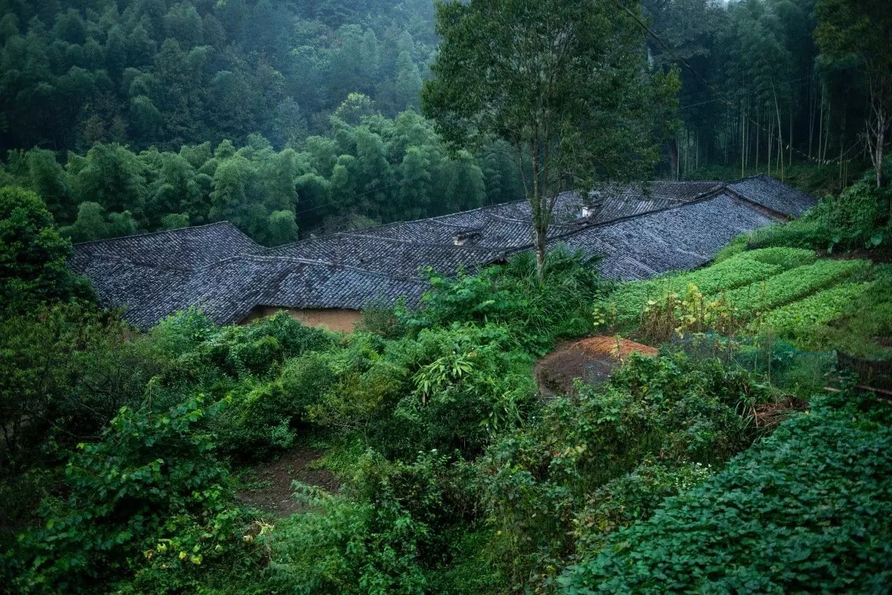 陌上·花溪堂，陌上花開笑顏傾城