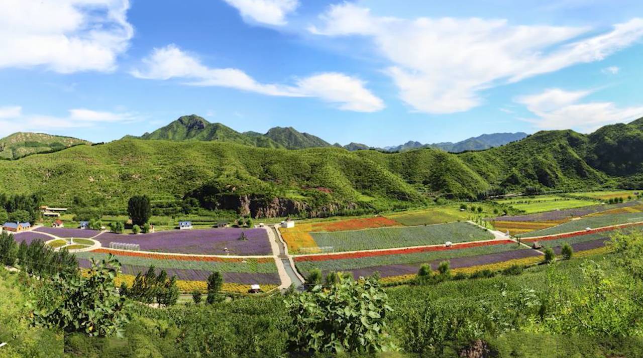 陌上·花溪堂，陌上花開笑顏傾城