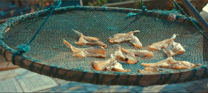 溫州·花崗漁村，海外桃源別有天此間小住亦神仙