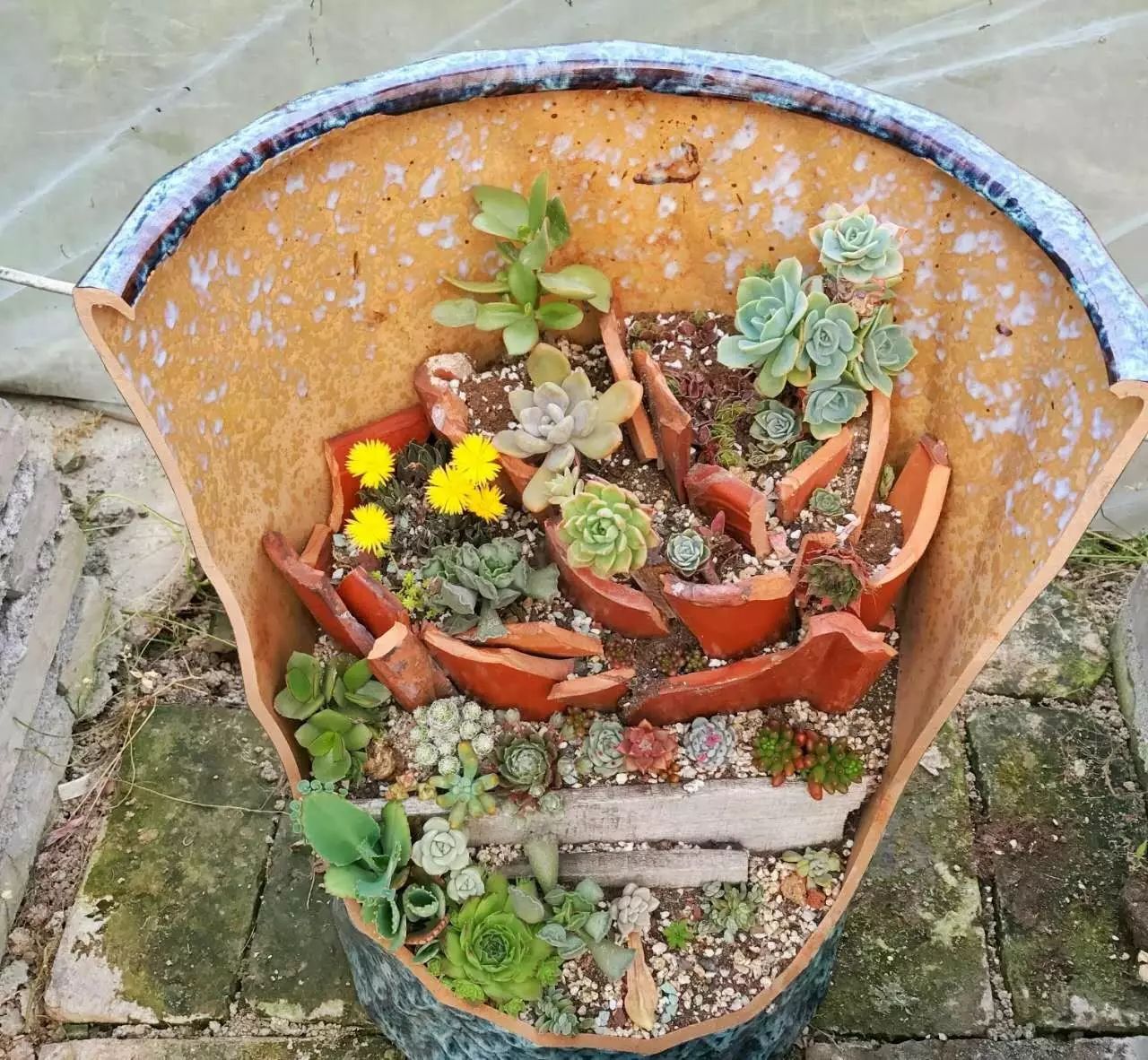 溫州·花崗漁村，海外桃源別有天此間小住亦神仙