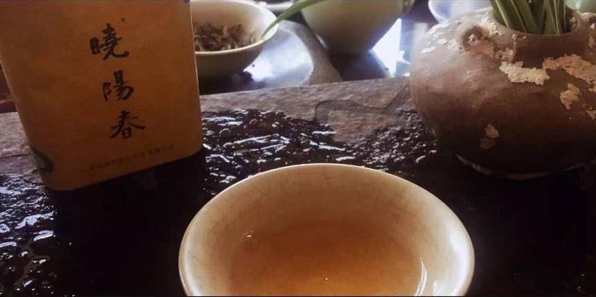 曉陽春茶，尋找茶道融于茶水中的美好生活