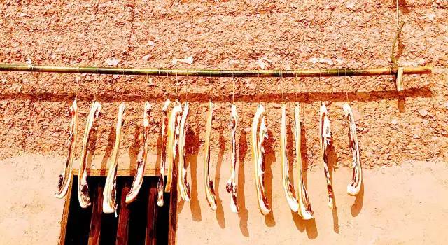 桃花壹號，靜下來品味生活最美的那一面