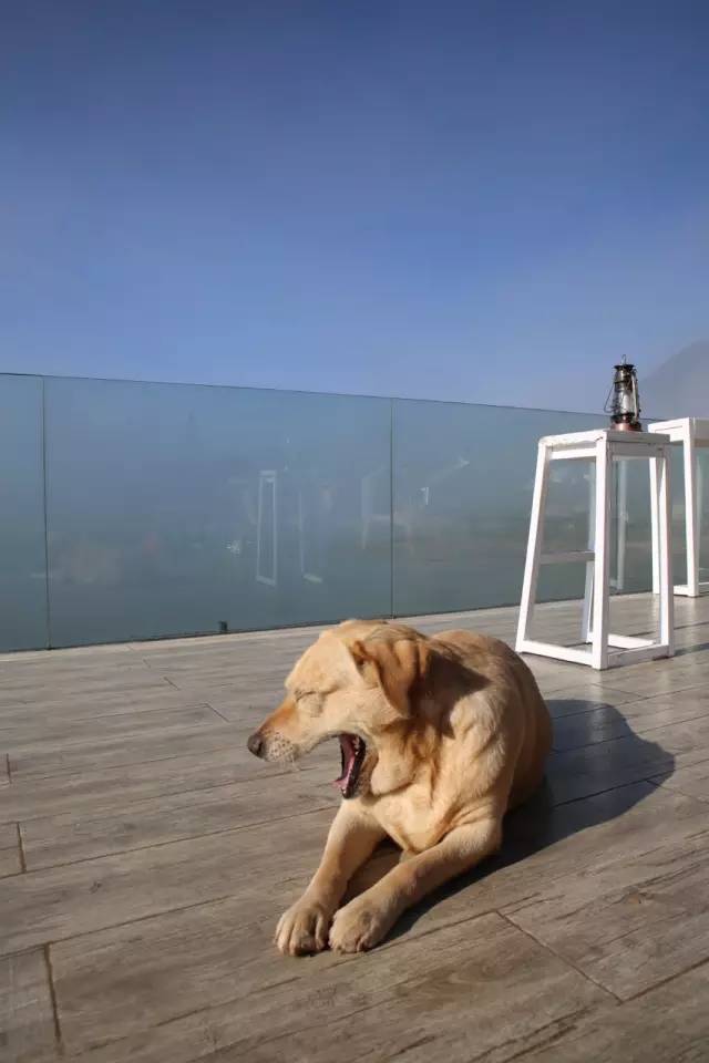 桃花壹號(hào)，靜下來(lái)品味生活最美的那一面