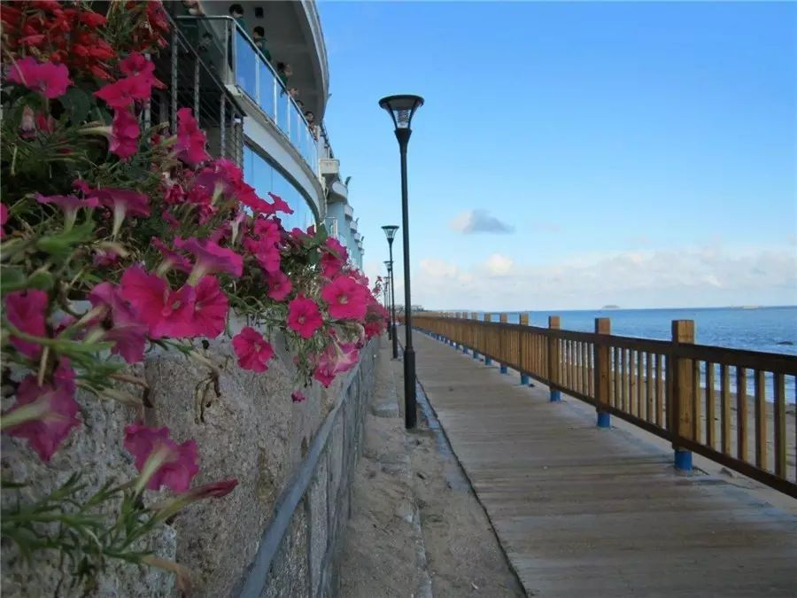 三個廈大人，做一個最廈門最廈大的民宿夢