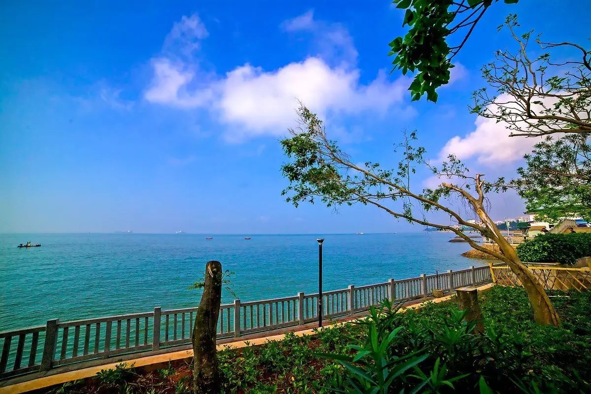 三個(gè)廈大人，做一個(gè)最廈門(mén)最廈大的民宿夢(mèng)