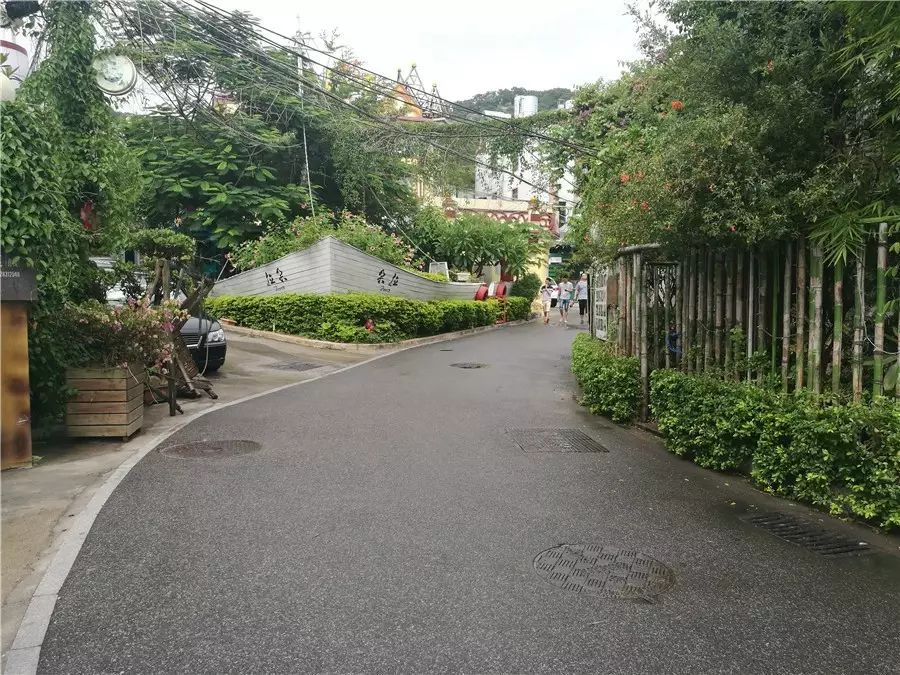 三個(gè)廈大人，做一個(gè)最廈門(mén)最廈大的民宿夢(mèng)