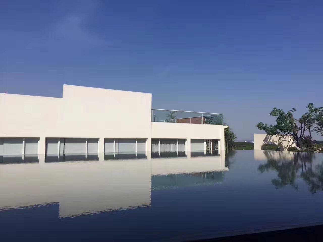 茗墅茶莊園，西湖以外的西湖