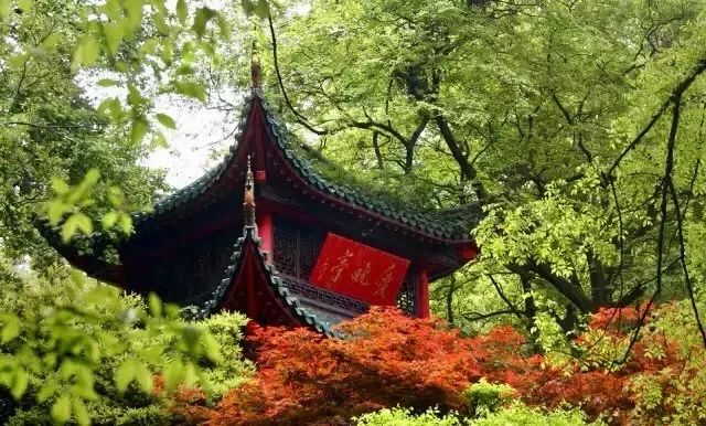 亭·停，唯美的亭臺(tái)樓閣