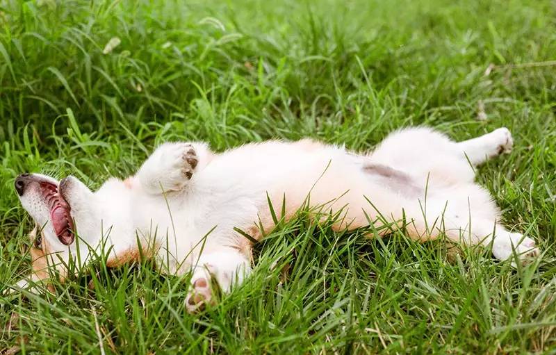 北京金岳臺溫泉酒店，承載著上個世紀(jì)的老磚樓