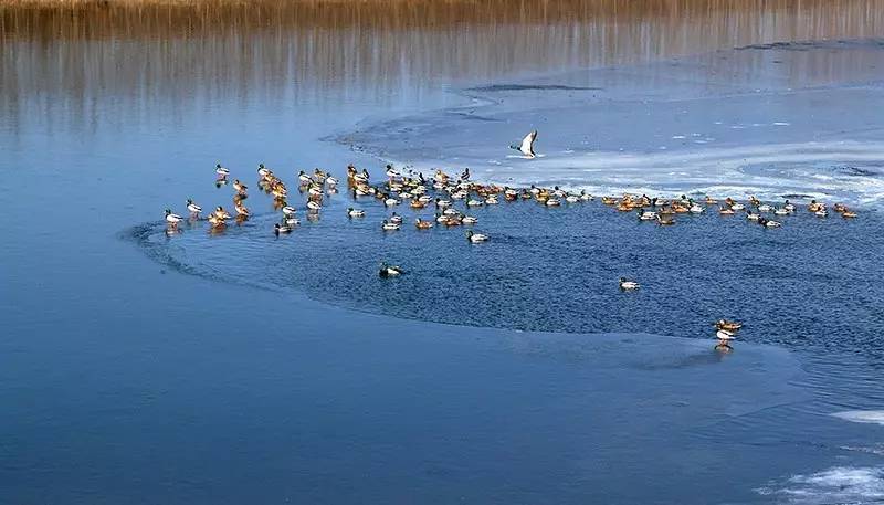 北京金岳臺溫泉酒店，承載著上個世紀的老磚樓