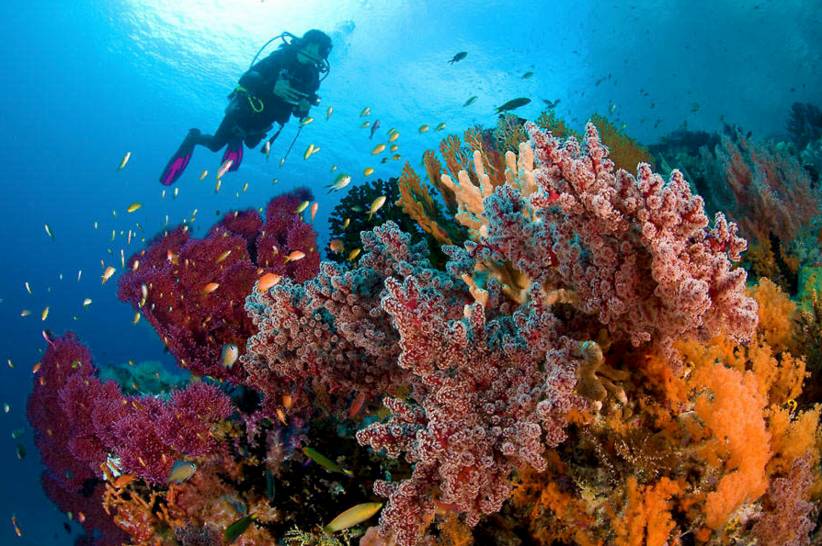 東極島·梵嶼，向往藍(lán)色自由守護(hù)心中美好的島嶼