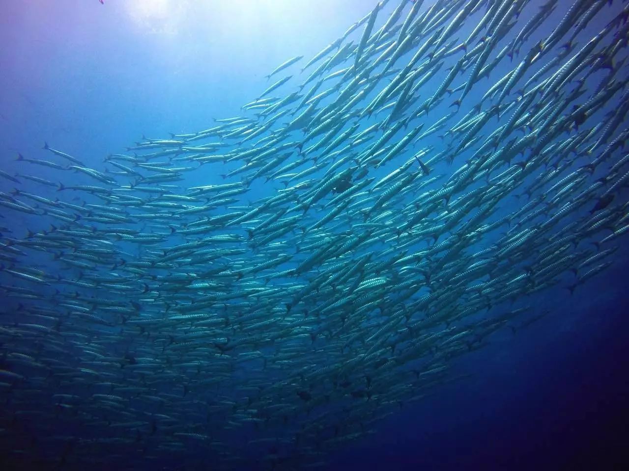 東極島·梵嶼，向往藍色自由守護心中美好的島嶼