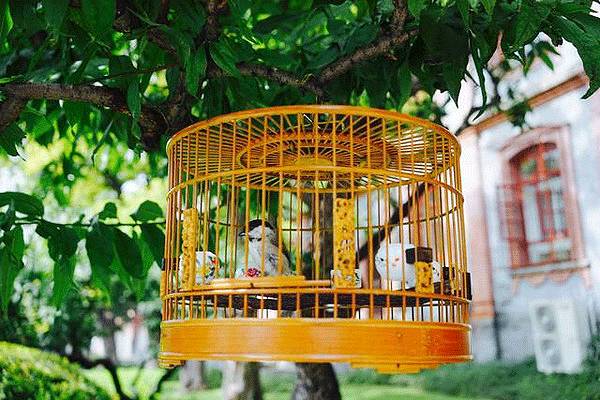 中國(guó)的四合院，才是真正的豪宅!