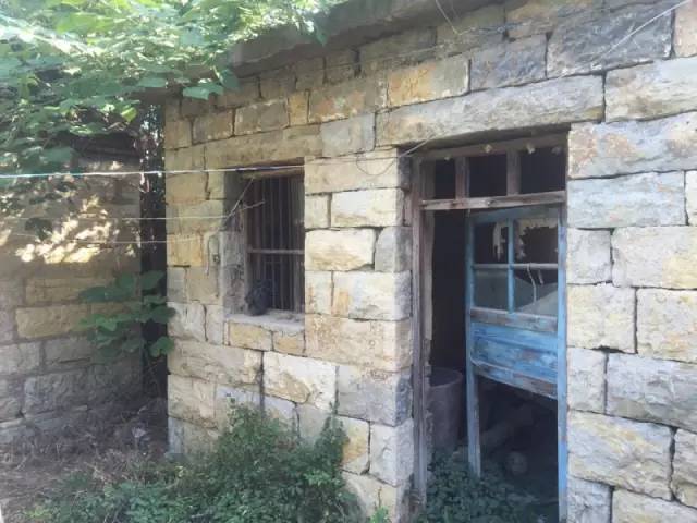 桃花源，有花為伴有茶糊口每一天都是美好光陰