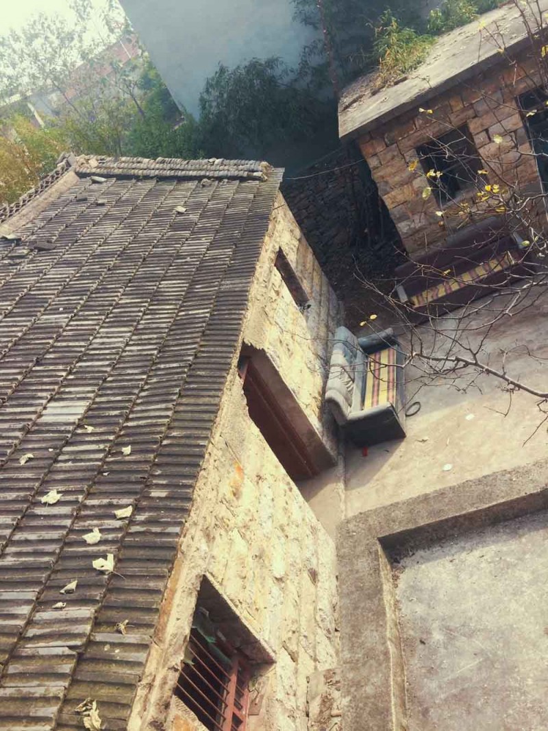 桃花源，有花為伴有茶糊口每一天都是美好光陰