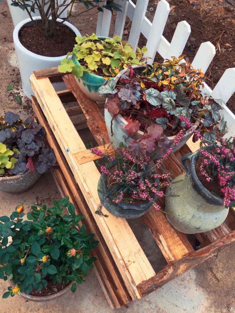 桃花源，有花為伴有茶糊口每一天都是美好光陰