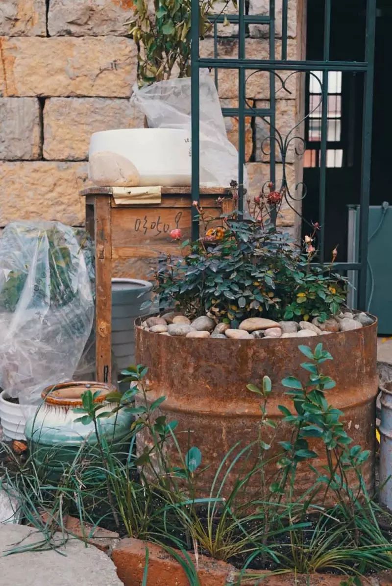 桃花源，有花為伴有茶糊口每一天都是美好光陰