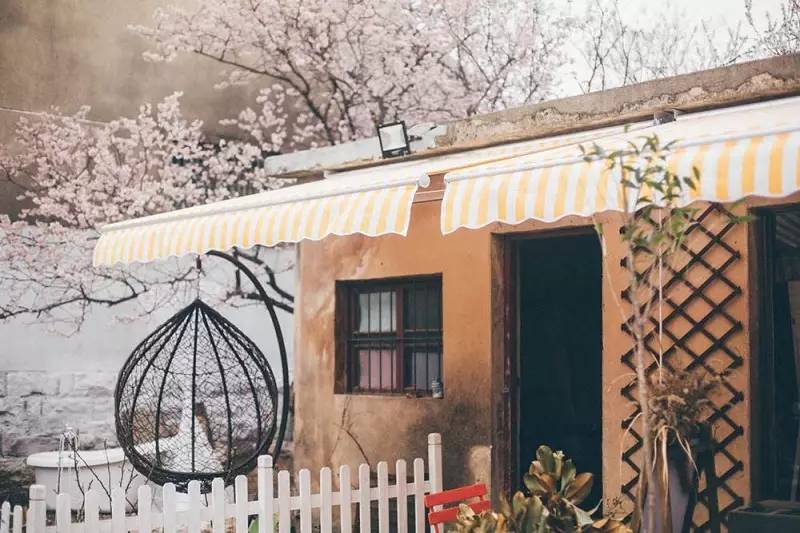 桃花源，有花為伴有茶糊口每一天都是美好光陰