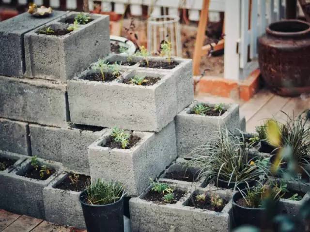 桃花源，有花為伴有茶糊口每一天都是美好光陰