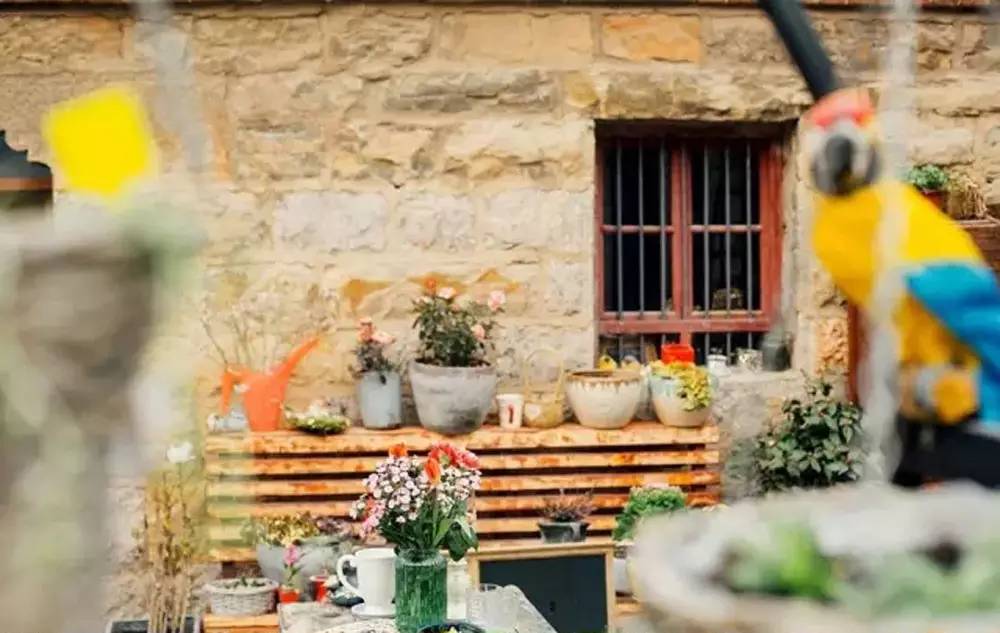 桃花源，有花為伴有茶糊口每一天都是美好光陰