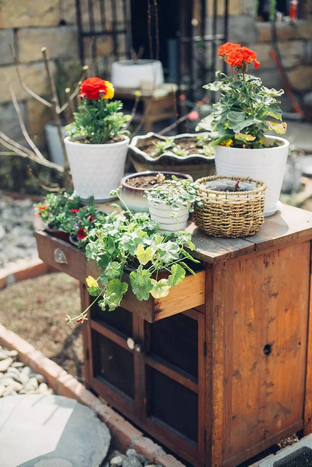 桃花源，有花為伴有茶糊口每一天都是美好光陰