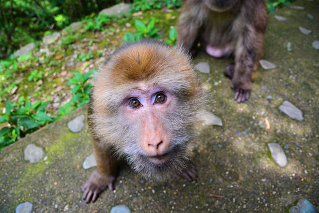 云門山居，雕琢廚藝隱居世外匠心如一
