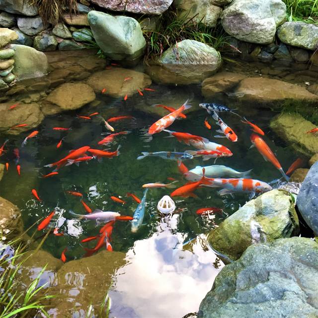 云門(mén)山居，雕琢廚藝隱居世外匠心如一