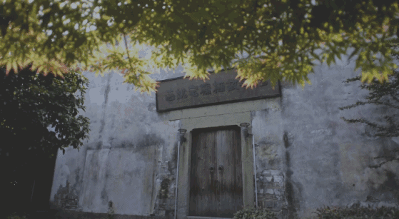 塘棲古鎮(zhèn)小茶姑娘，古鎮(zhèn)溪邊沐浴清風(fēng)滌蕩心靈