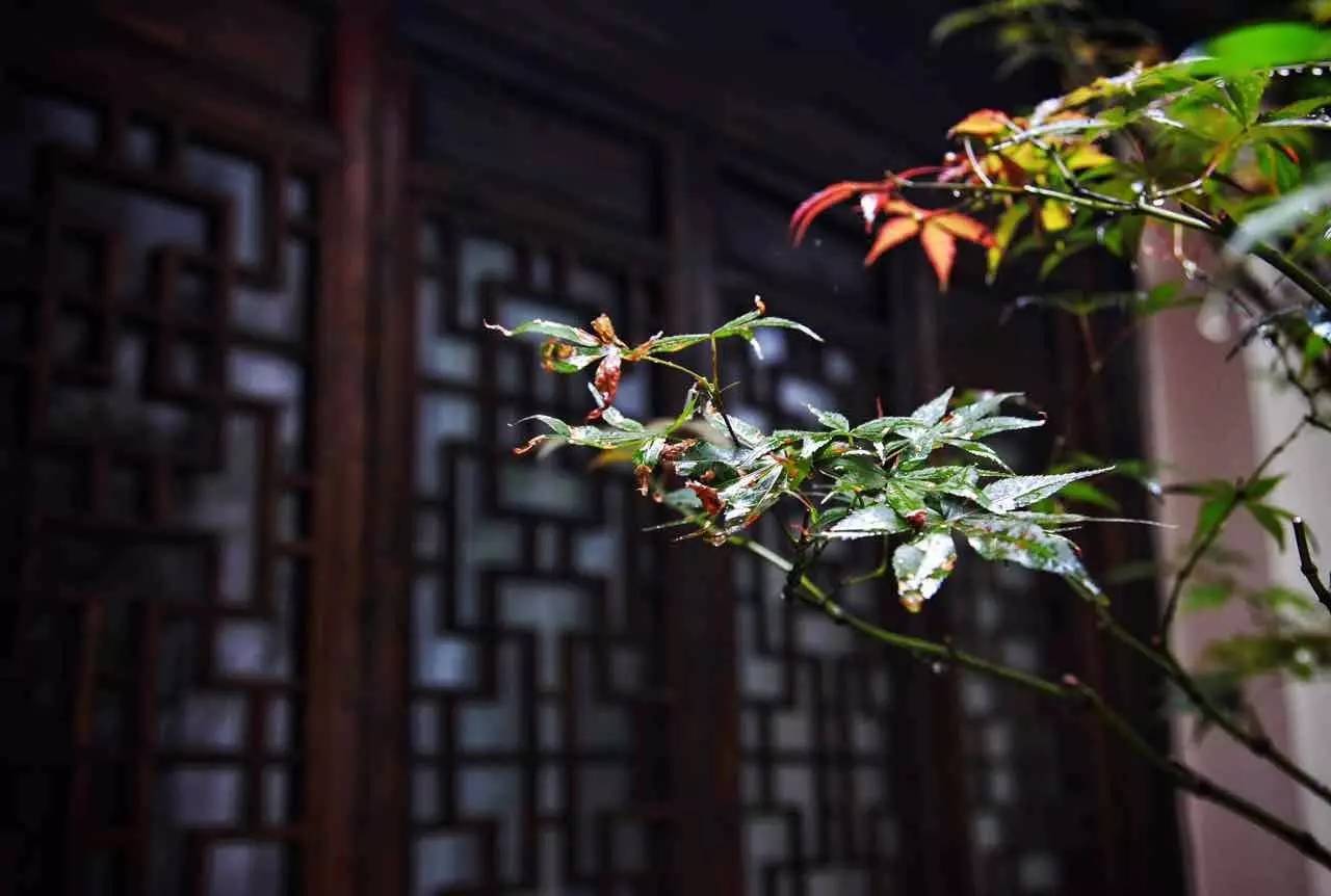 塘棲古鎮(zhèn)小茶姑娘，古鎮(zhèn)溪邊沐浴清風(fēng)滌蕩心靈