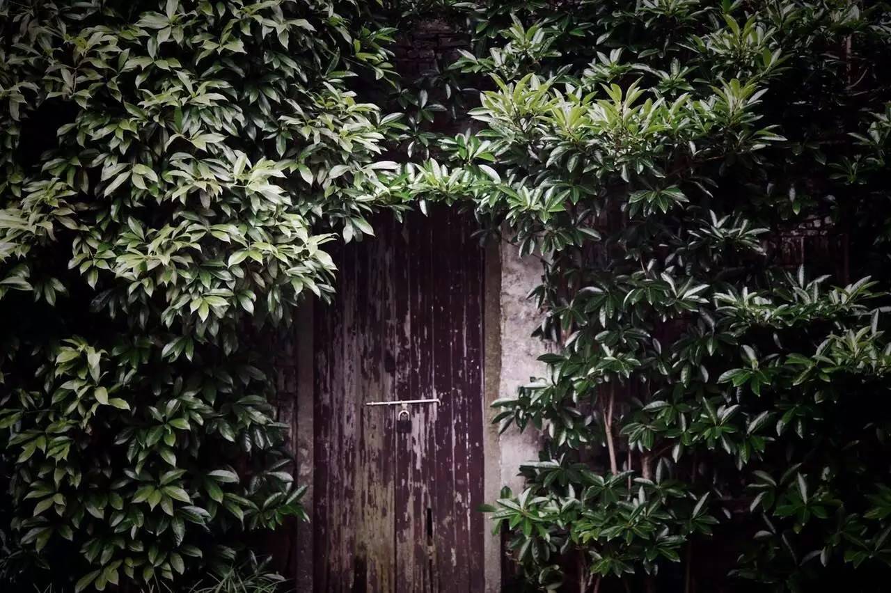 塘棲古鎮(zhèn)小茶姑娘，古鎮(zhèn)溪邊沐浴清風(fēng)滌蕩心靈