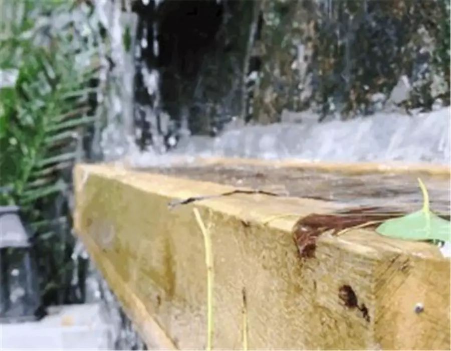 杭州·若白雅苑，擁有無(wú)邊泳池「最好泡民宿」