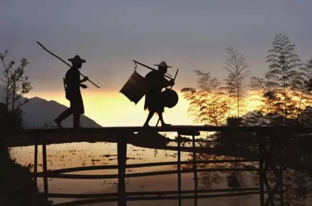 3間開在稻田里的民宿，回歸自然向往田園風(fēng)光