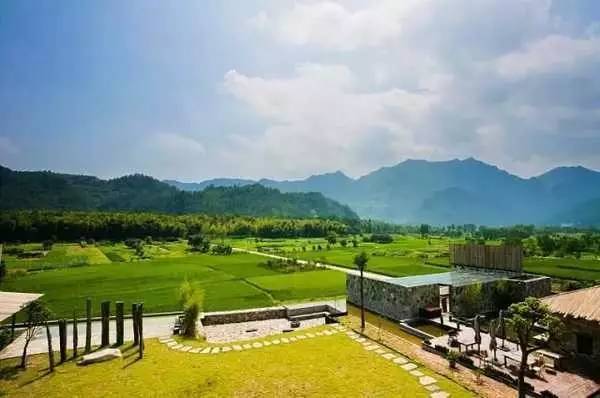 3間開在稻田里的民宿，回歸自然向往田園風(fēng)光