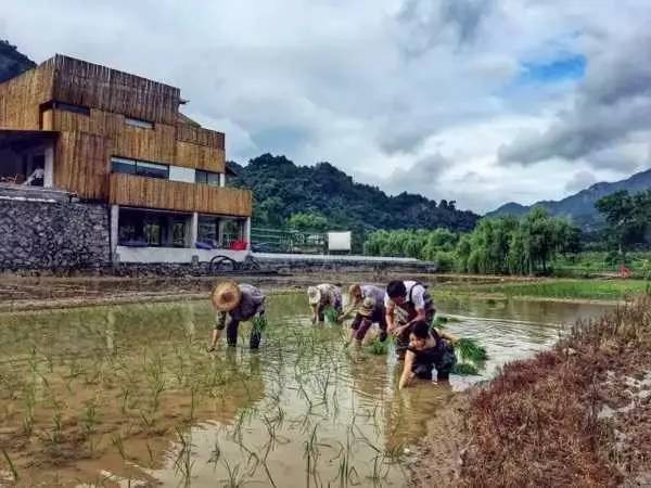 3間開在稻田里的民宿，回歸自然向往田園風(fēng)光