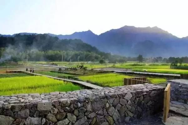 3間開在稻田里的民宿，回歸自然向往田園風(fēng)光