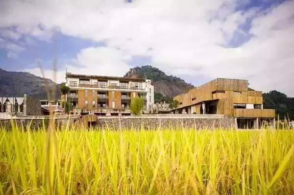 3間開在稻田里的民宿，回歸自然向往田園風(fēng)光
