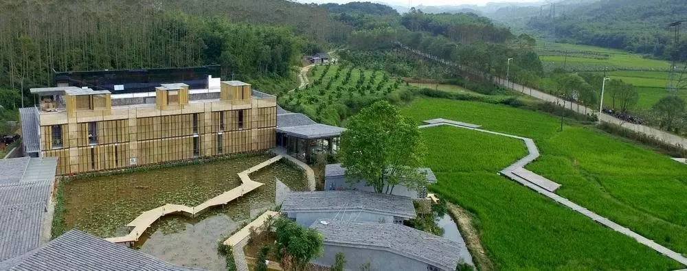 3間開在稻田里的民宿，回歸自然向往田園風(fēng)光