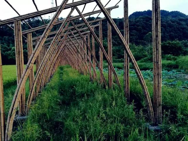 3間開在稻田里的民宿，回歸自然向往田園風光