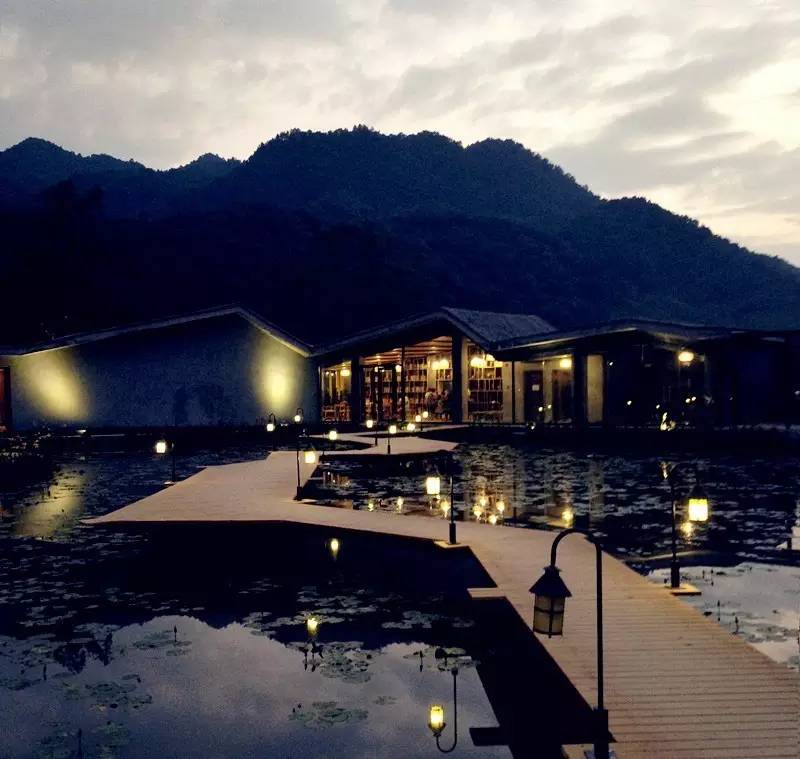 3間開在稻田里的民宿，回歸自然向往田園風光