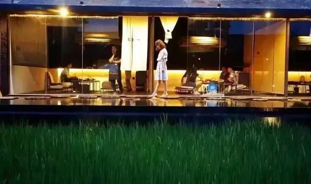 3間開在稻田里的民宿，回歸自然向往田園風(fēng)光