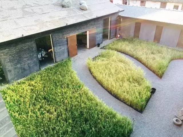 3間開在稻田里的民宿，回歸自然向往田園風(fēng)光