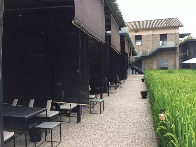 3間開在稻田里的民宿，回歸自然向往田園風(fēng)光