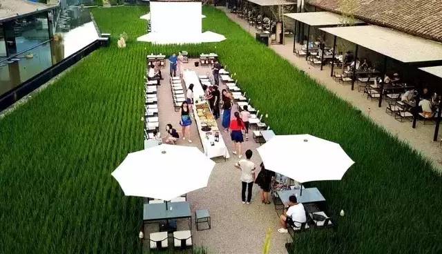 3間開在稻田里的民宿，回歸自然向往田園風(fēng)光