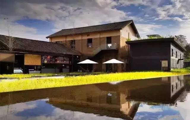 3間開在稻田里的民宿，回歸自然向往田園風(fēng)光