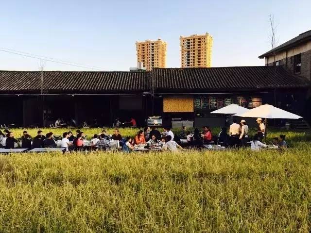 3間開(kāi)在稻田里的民宿，回歸自然向往田園風(fēng)光