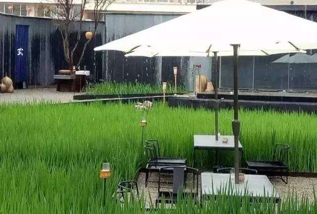 3間開(kāi)在稻田里的民宿，回歸自然向往田園風(fēng)光