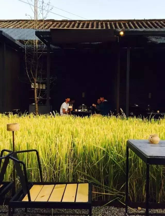 3間開在稻田里的民宿，回歸自然向往田園風光