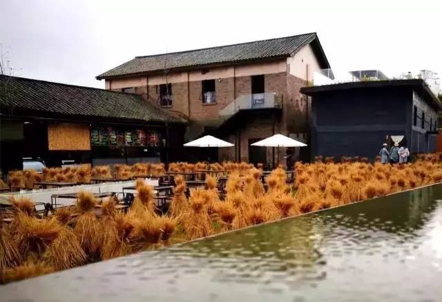 3間開在稻田里的民宿，回歸自然向往田園風光